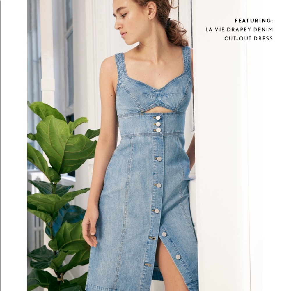 Rebecca Taylor | La Vie Denim Dress